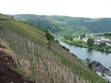 zell mosel