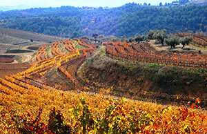 priorat